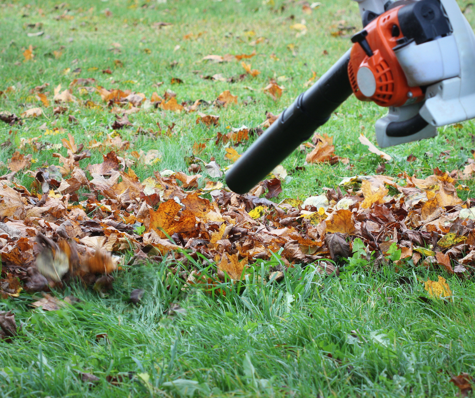 Storm Ready Sauna and Plunge