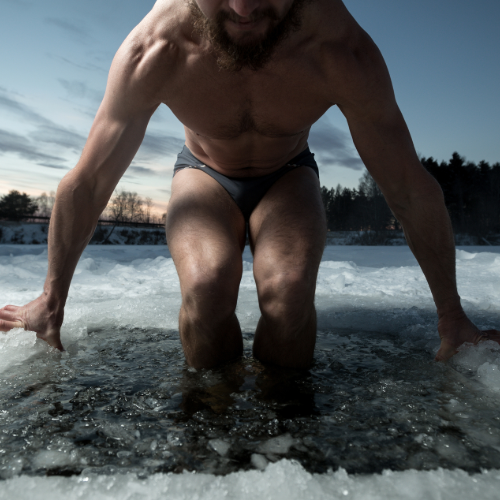 Why a Wood Barrel Cold Plunge Is the Perfect Wellness Upgrade