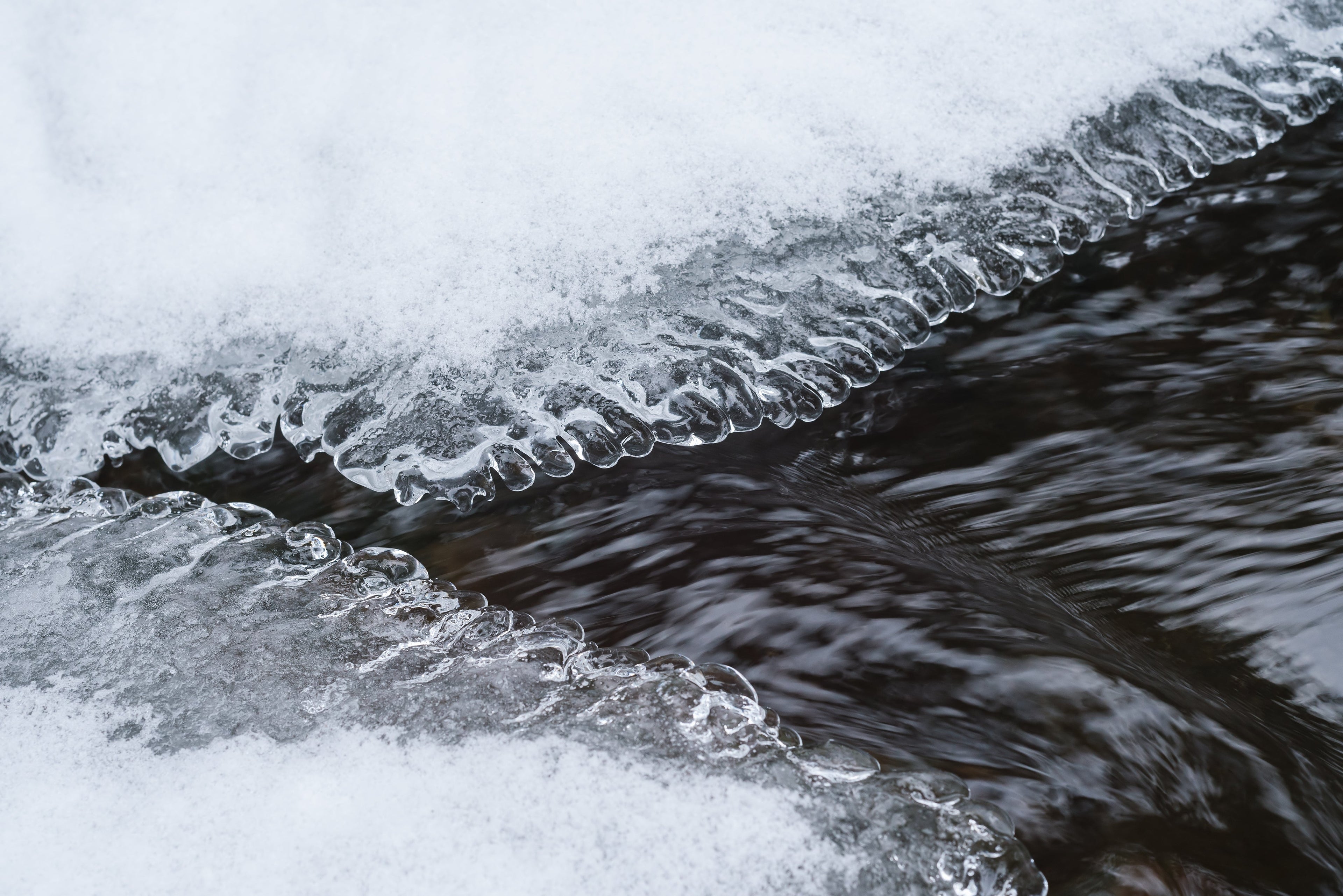 How Cold Should a Cold Plunge Be?